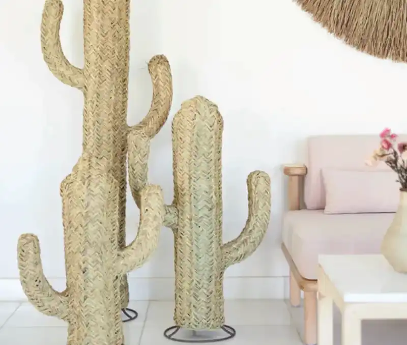 Cactus en situation pour un événement à Marrakech